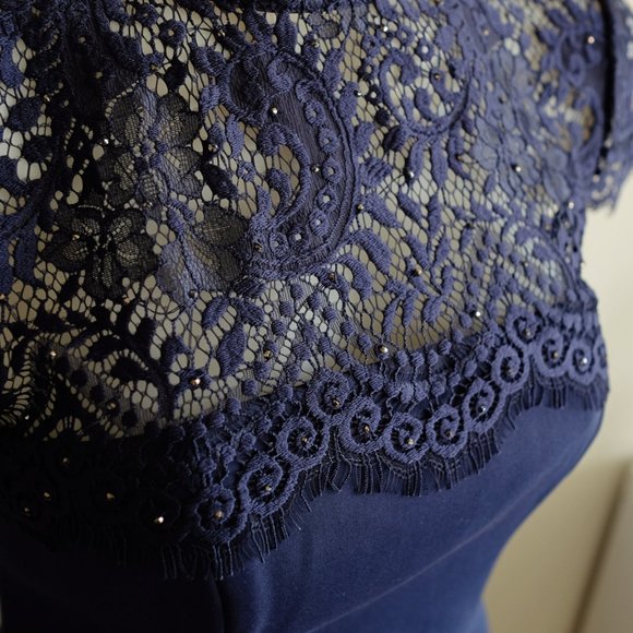 Ever New eyelash lace and crystal cocktail dress - Picture 7 of 13